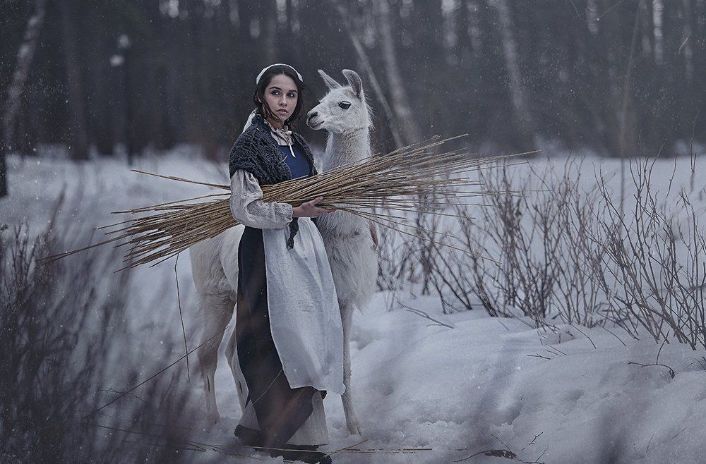 Photograph by Алла Петрова