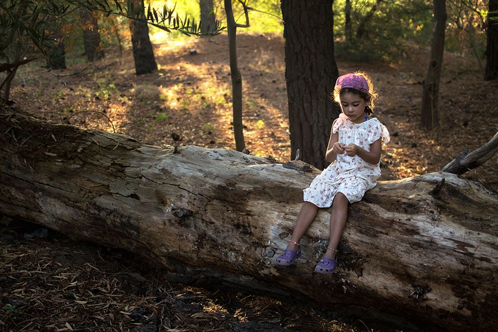 Catalina en el bosque