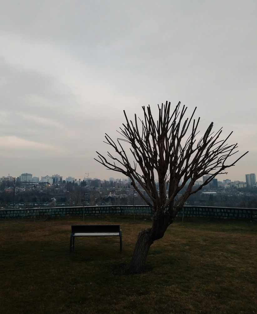 Photograph by Navid Matrian pour