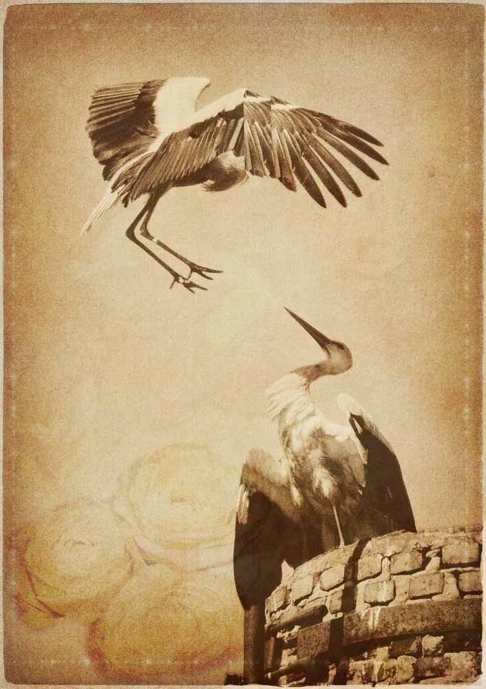 Мелодия любви