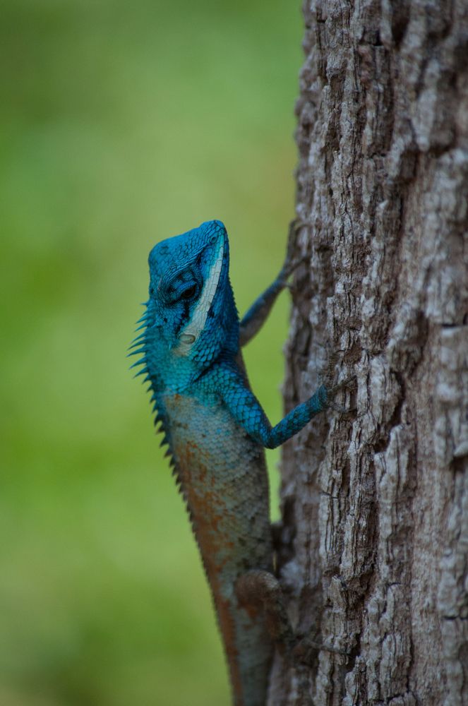 Photograph by Людмила Москвичёва