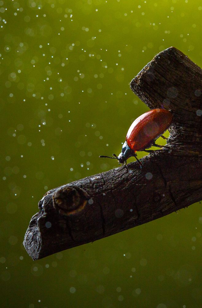 Photograph by Ураанхай Жека