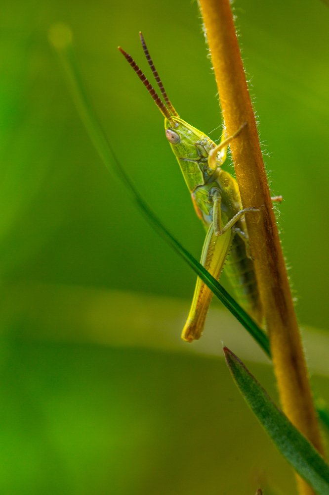 Photograph by Ураанхай Жека