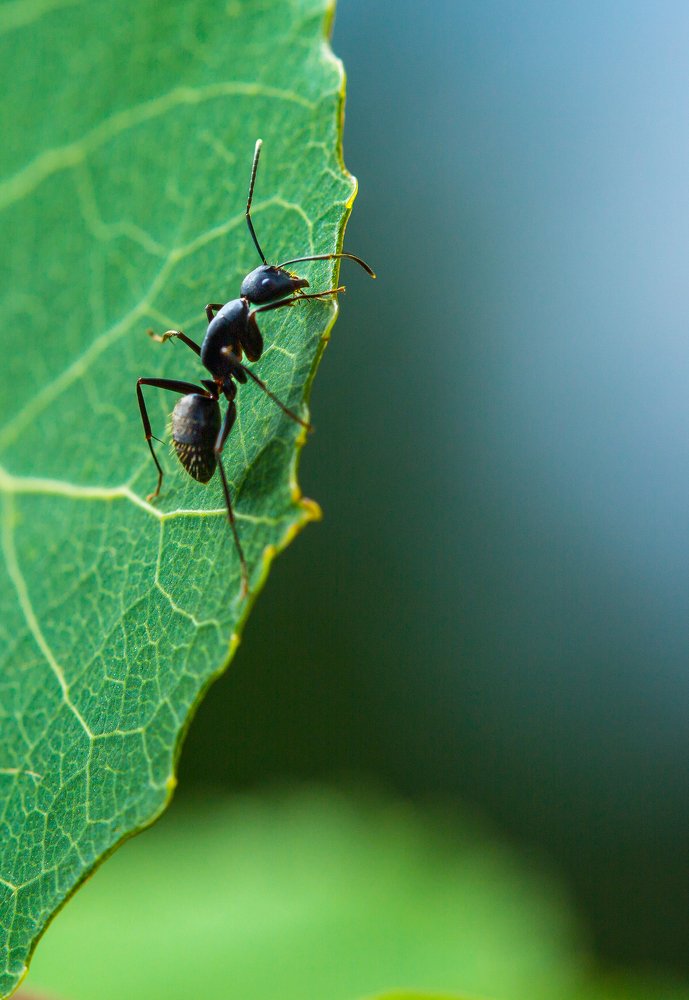 Photograph by Ураанхай Жека