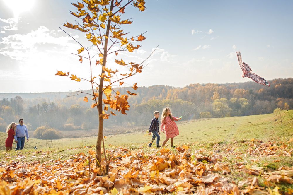 Воздушный змей