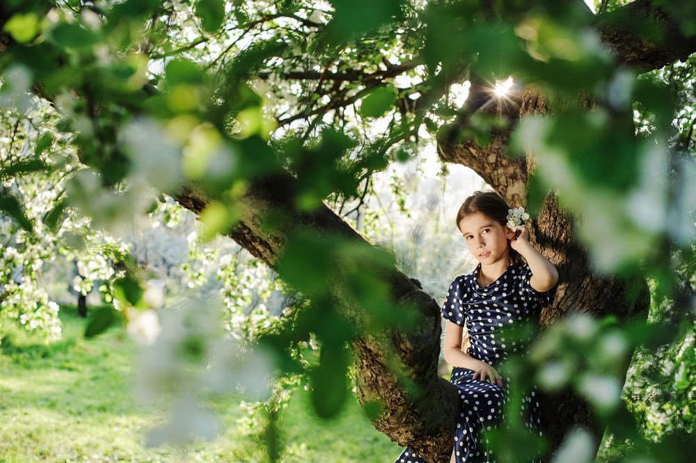 Яблоневый цвет