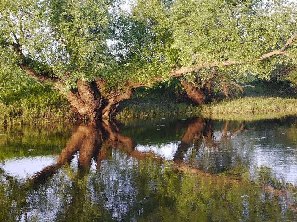 Photograph by Сергей Забиякин