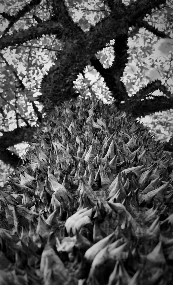 Через тернии.