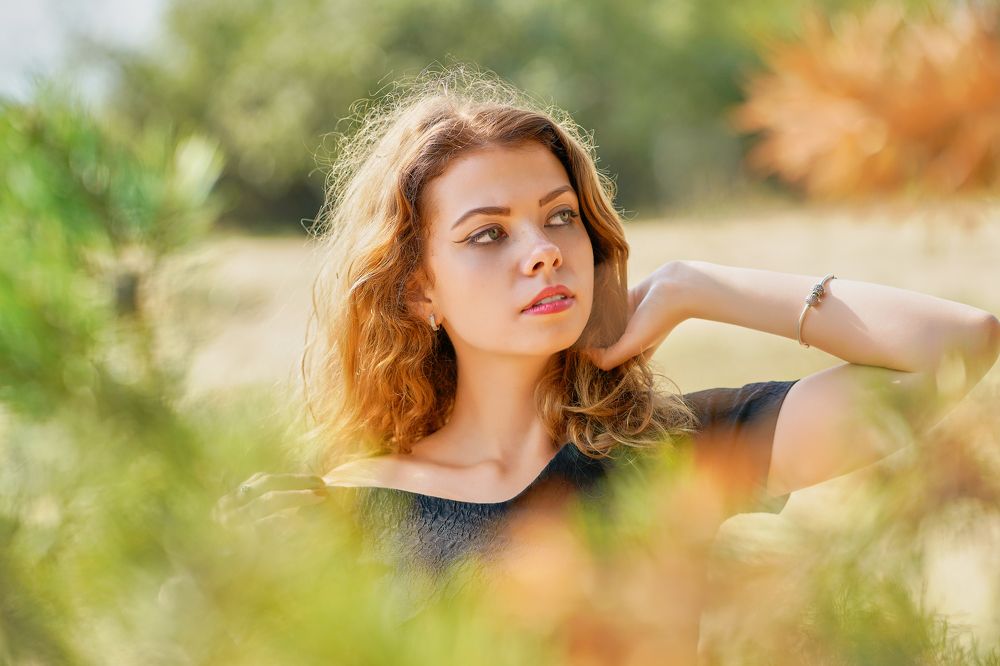 Утро в лесу