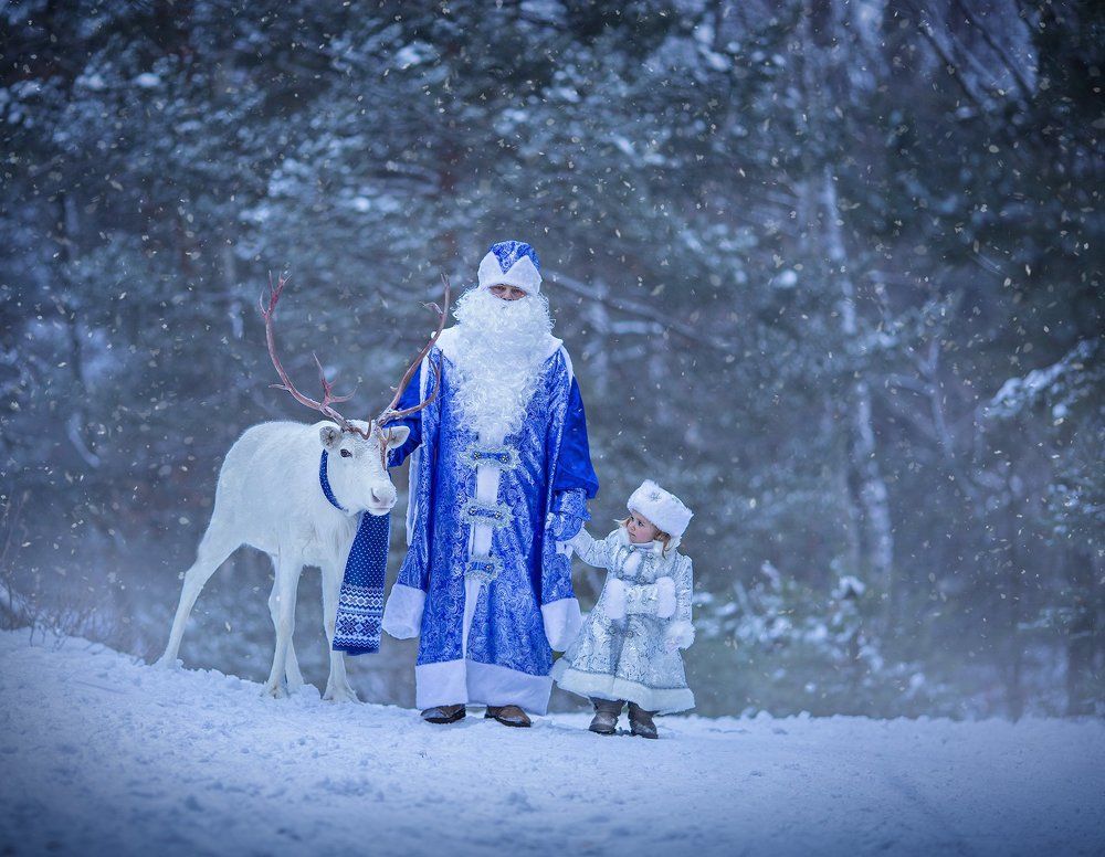 Новогодняя сказка