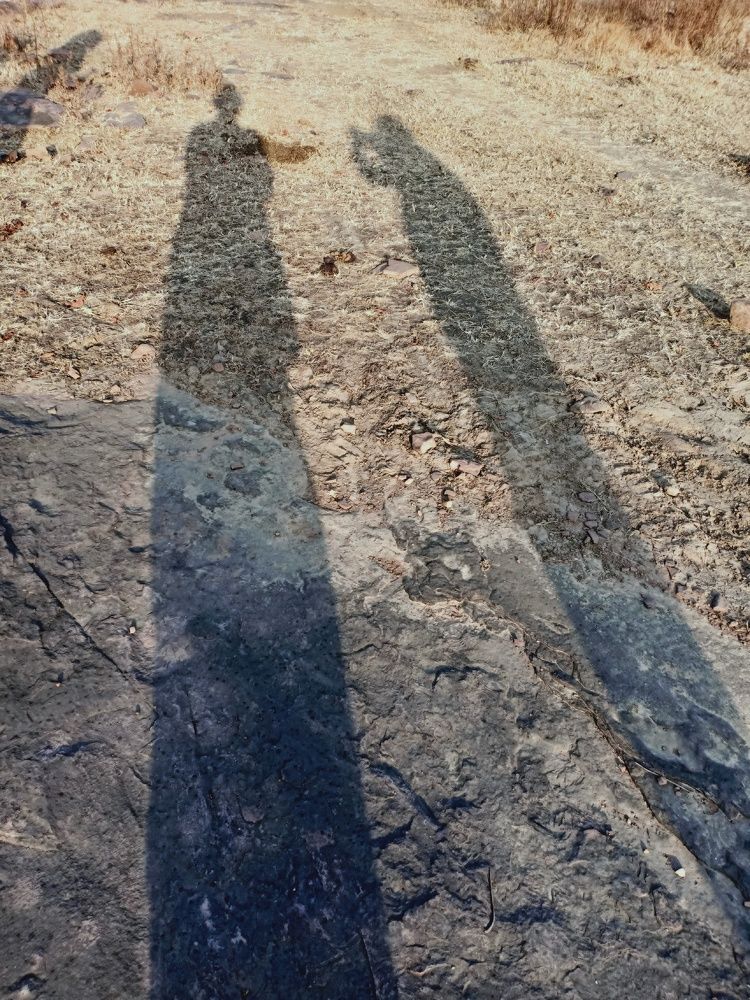 Tall shadow
