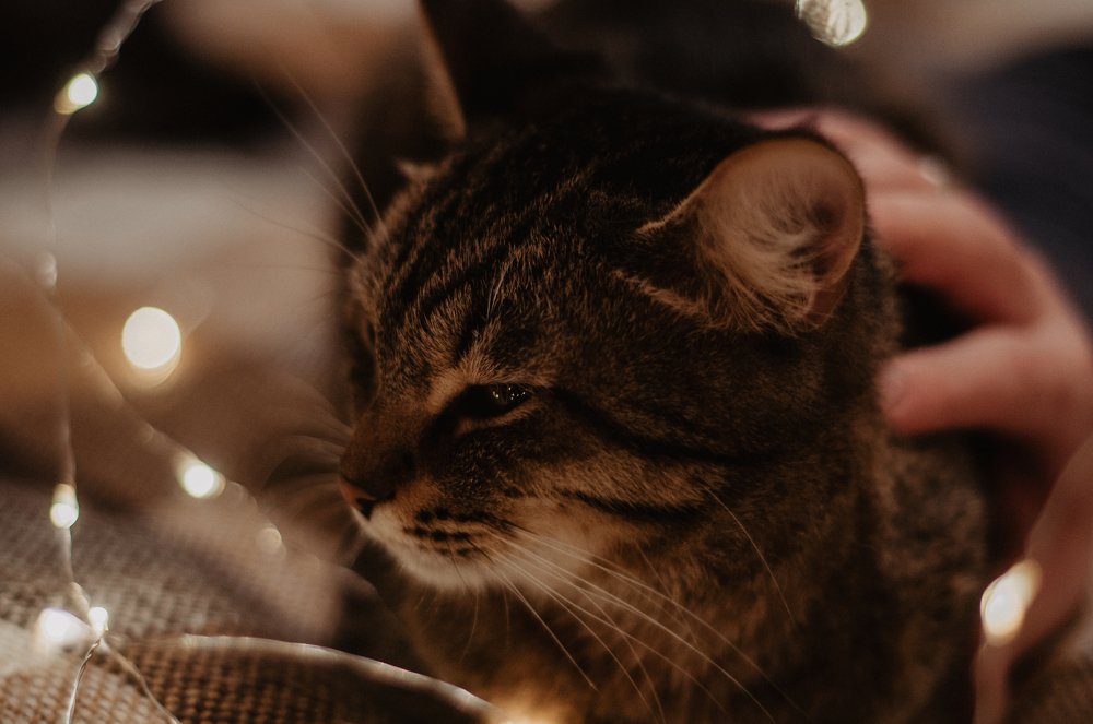 Photograph by Екатерина Гущина