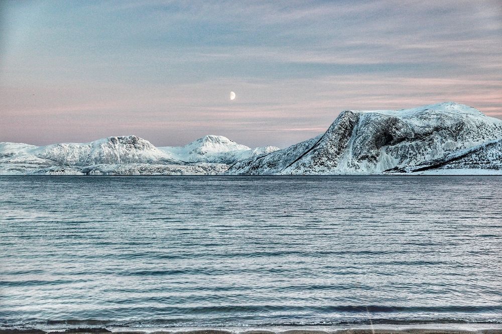 Инопланетный вид