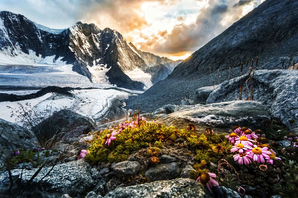 Закат у подножья горы Белуха