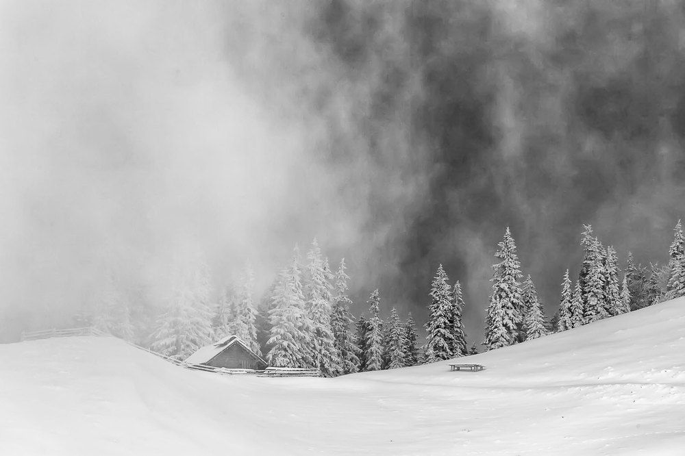 The story of the winter fog