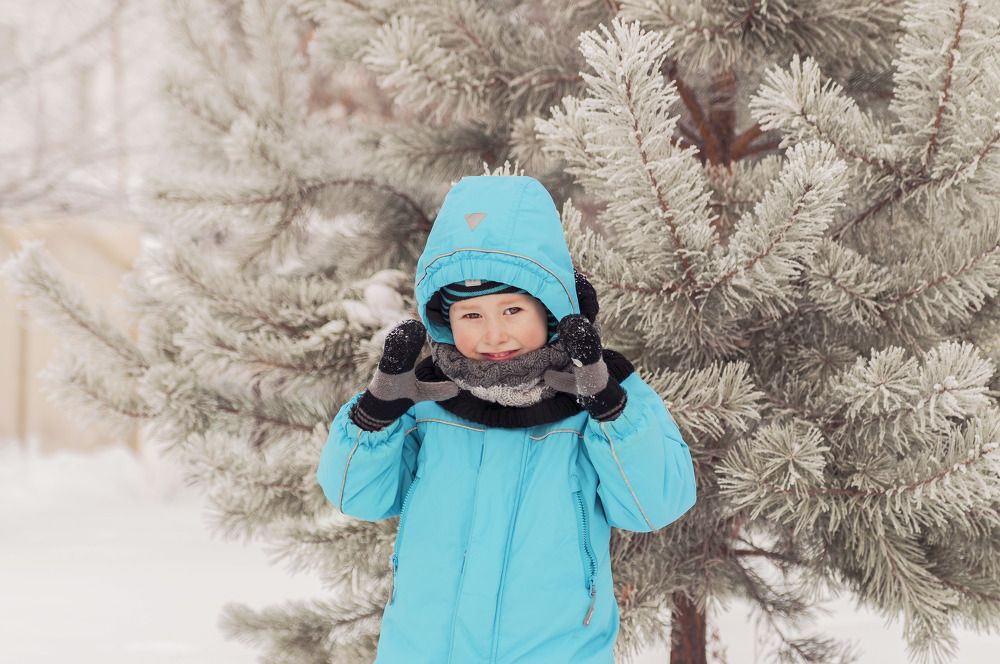 Прогулка в лесу