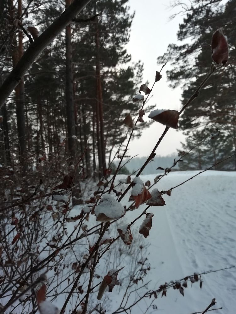Photograph by Алиса Степанова