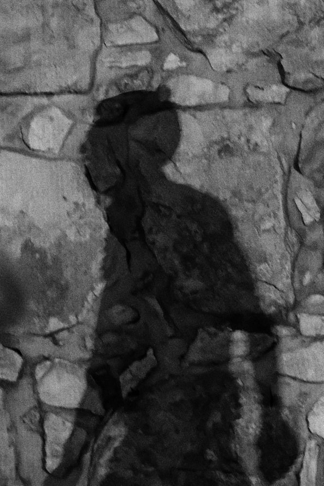 Тень Ю. Никулина