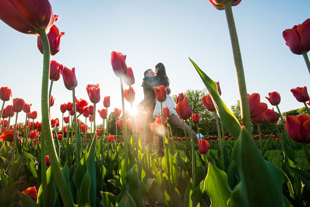 Photograph by Елисеева Алла