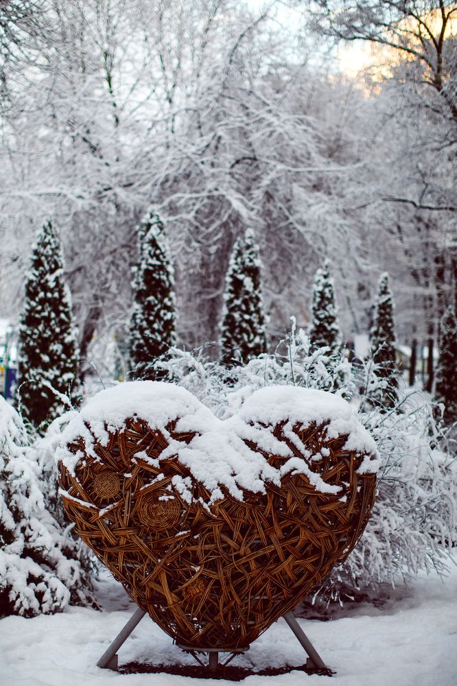 Утро в парке