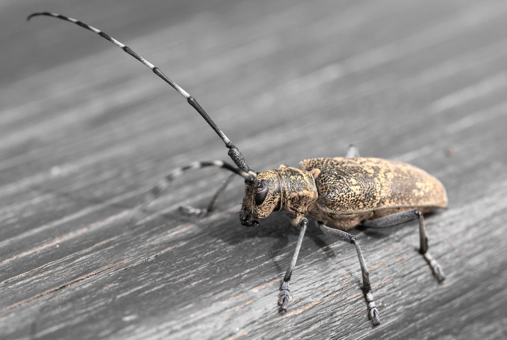 Photograph by Сергей Тригуб