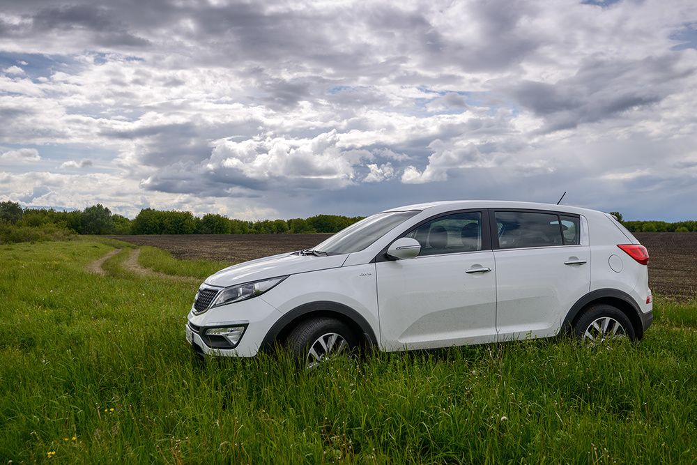 На пленэре...