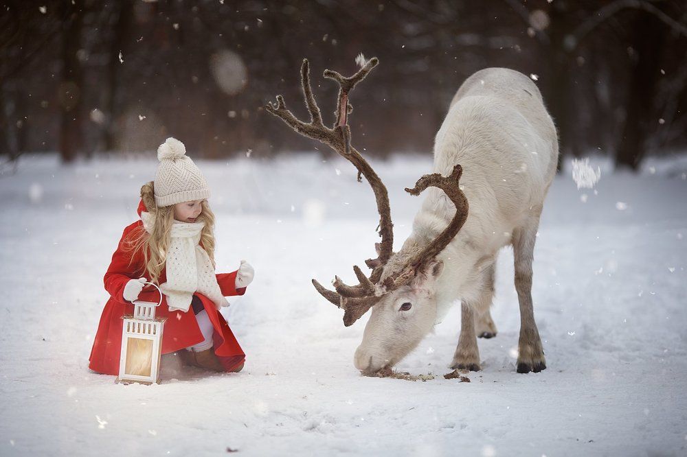 Photograph by Ольга Венцкут