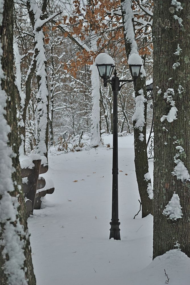 Photograph by Наталья