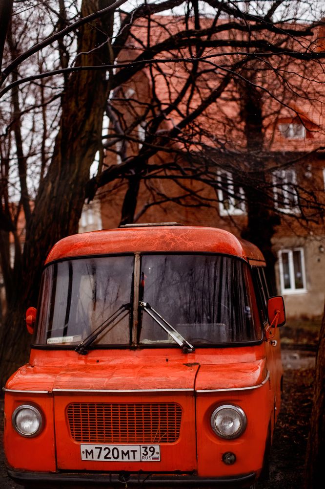 Старый друг