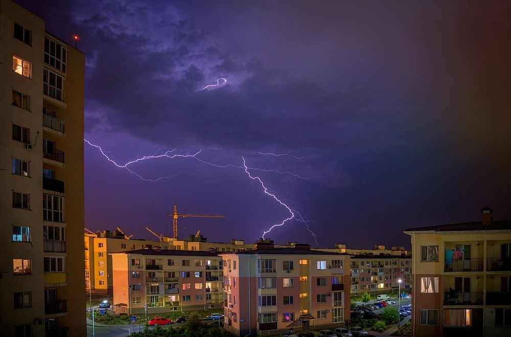 Городские тропики