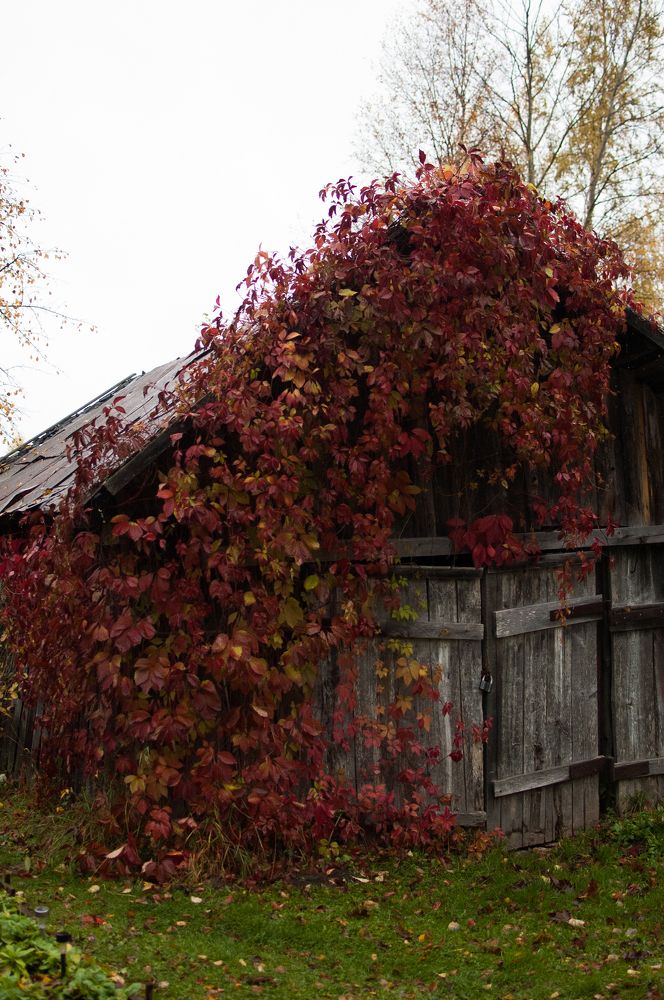 Old barn - Старый сарай