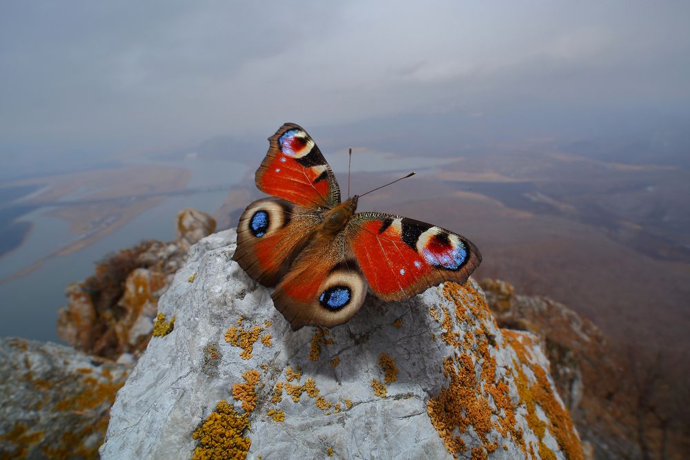 На крыше мира