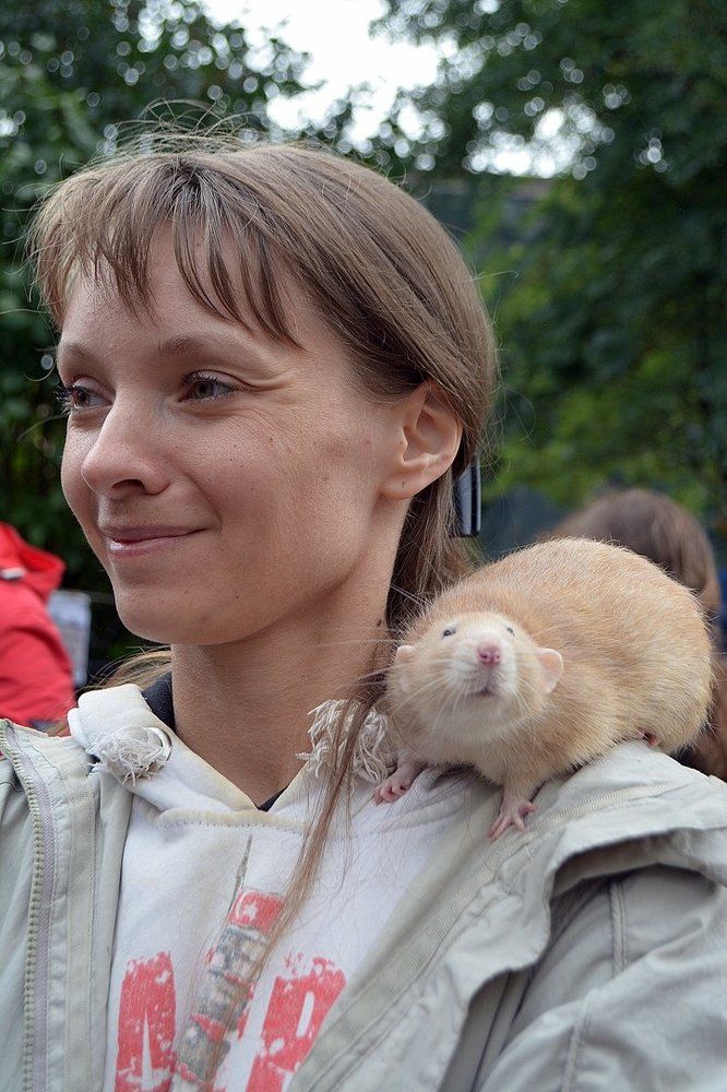 Подружки бывают разные