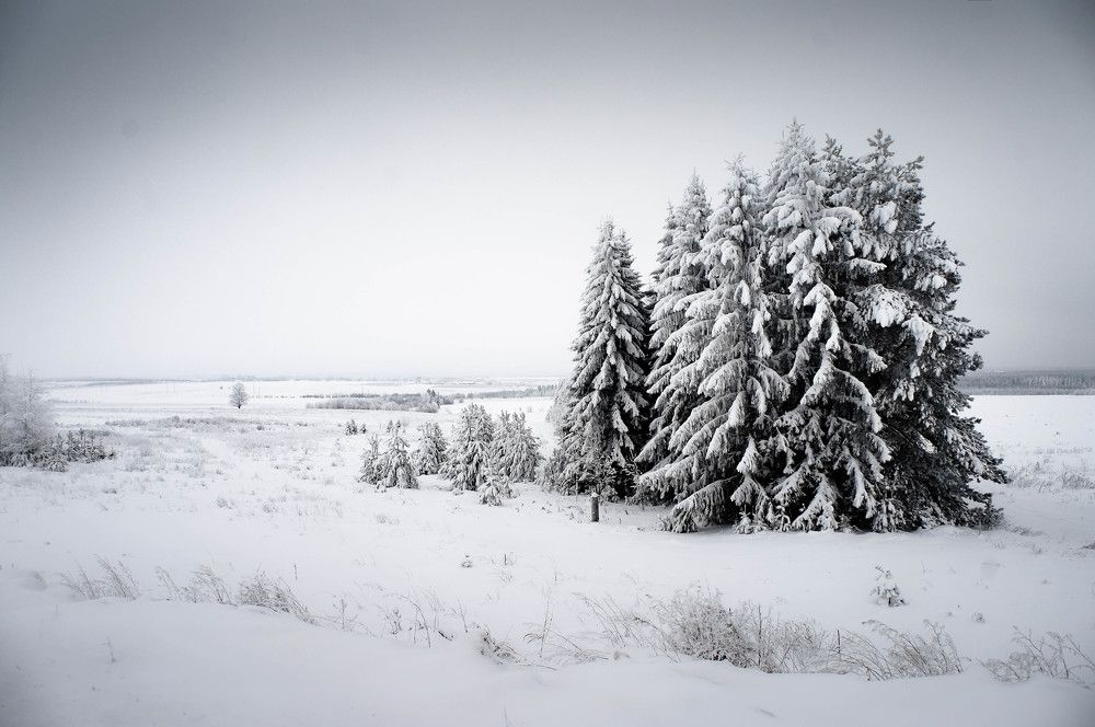 Photograph by Сергей Забиякин