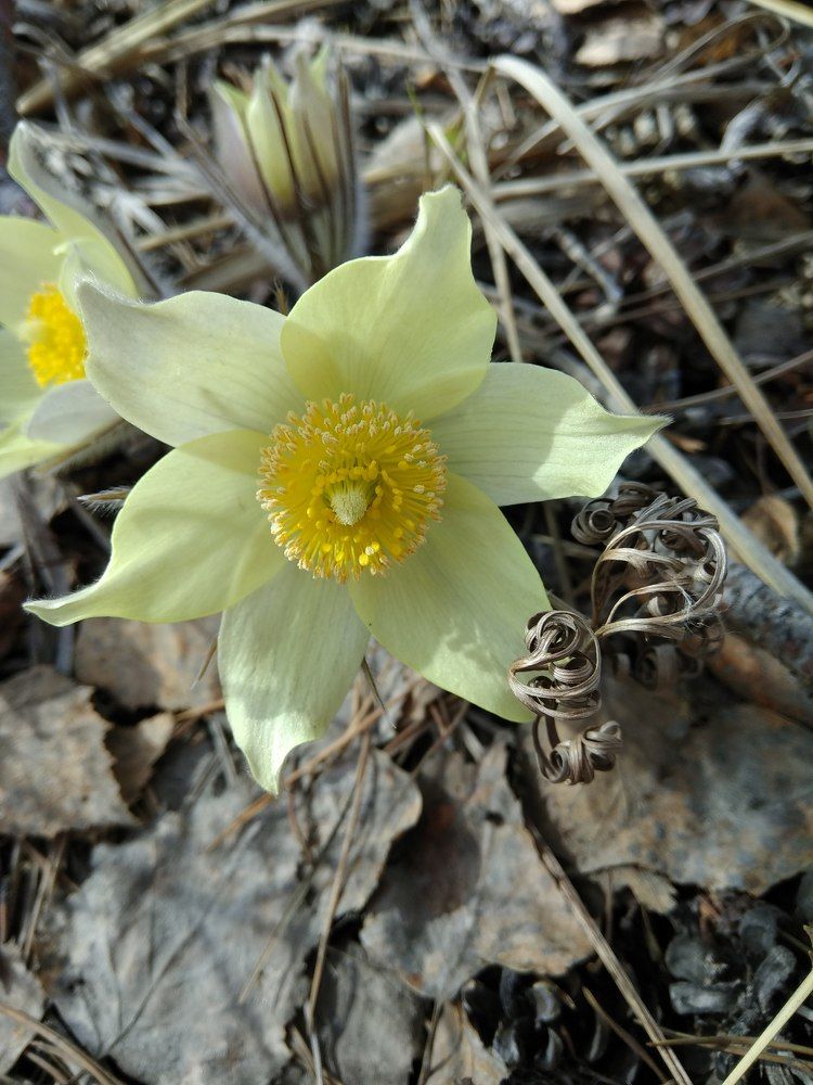 Photograph by Оксана Зяблова