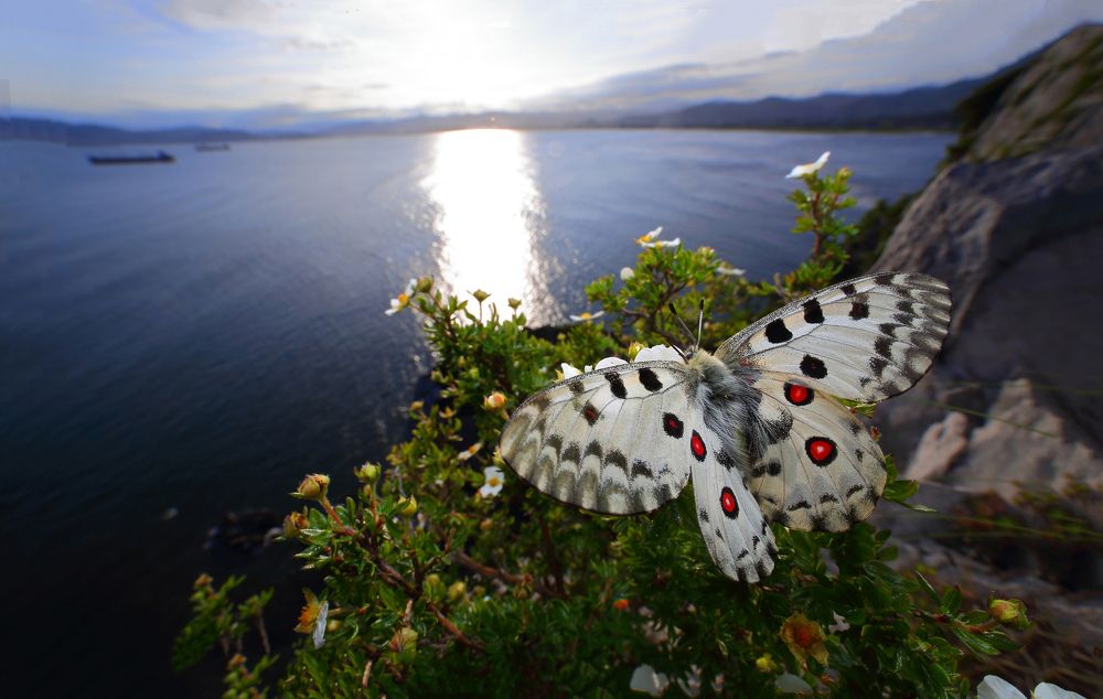 Солнечный путь