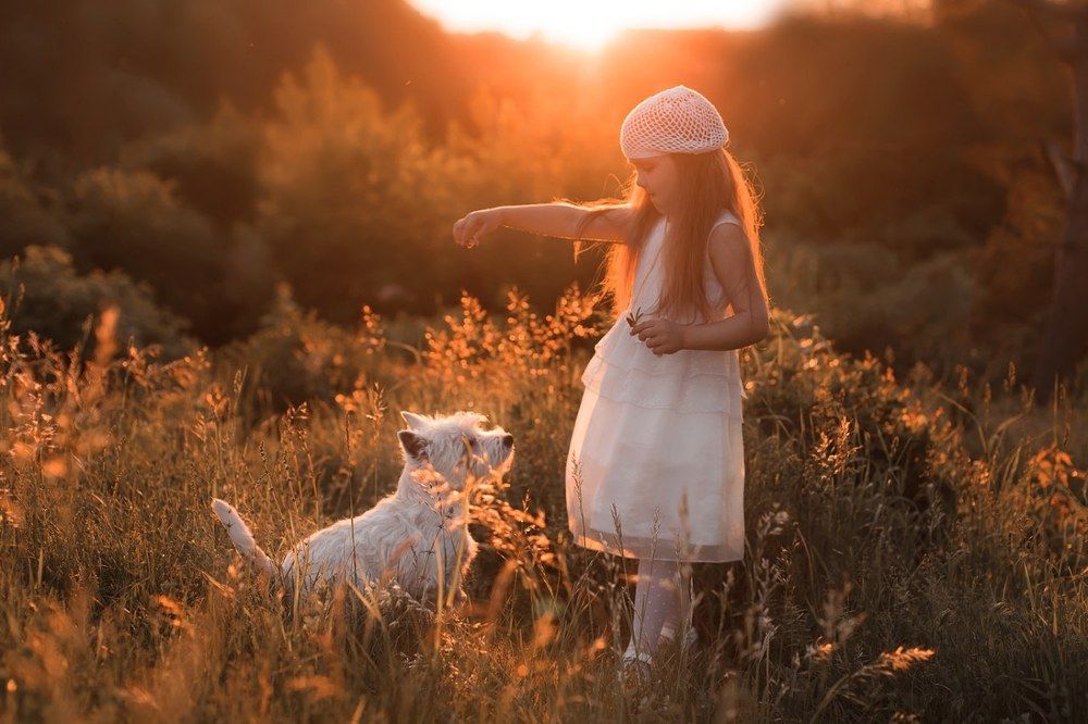 Лучшие друзья