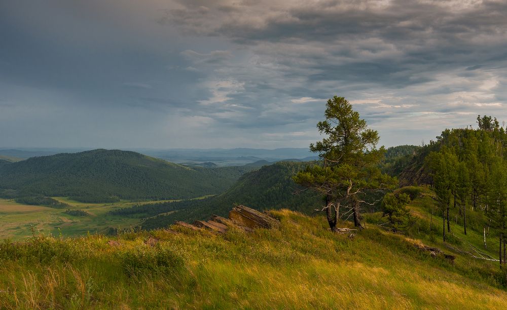 Подзаплоты