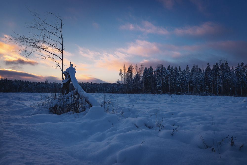Закат в Подмосковье.