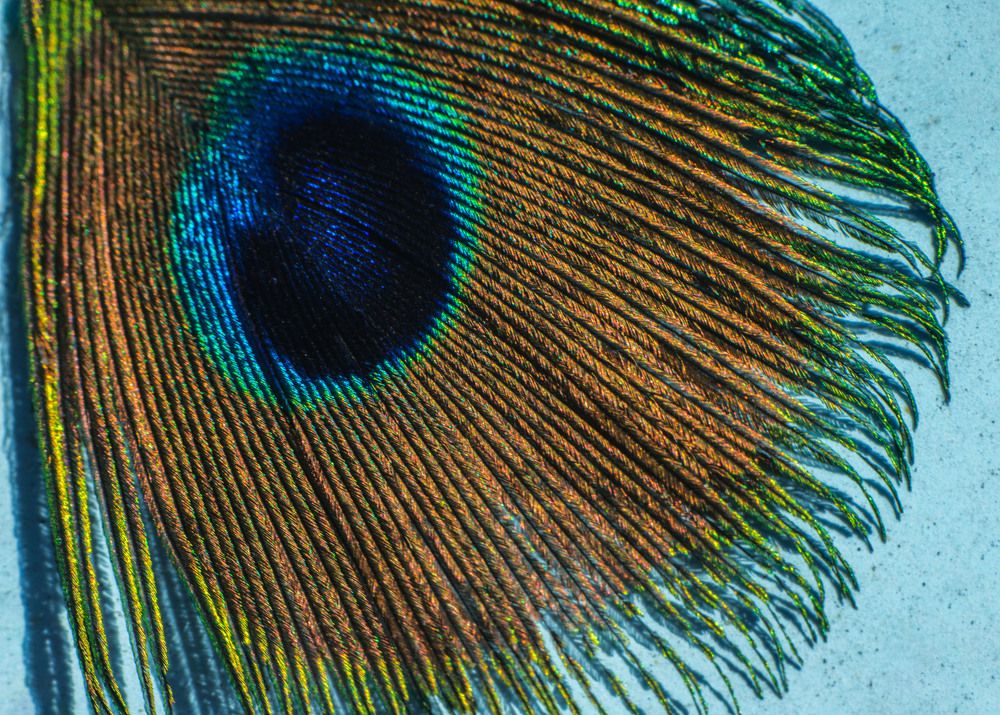 Солнечный символ