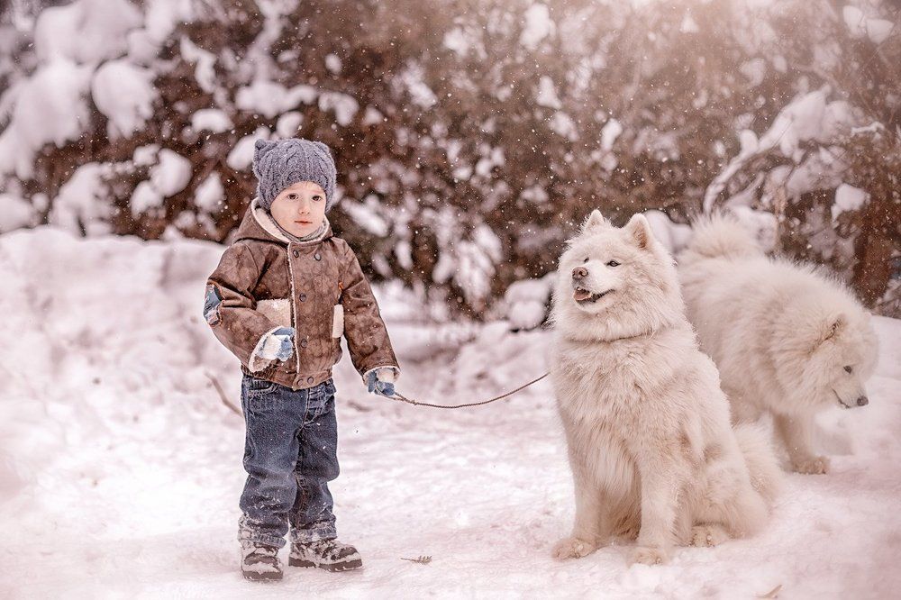 Прогулка с пушистыми друзьями