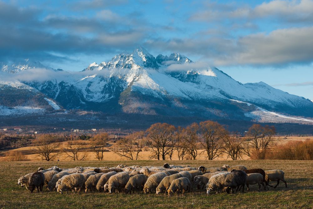 В Попрадской долине