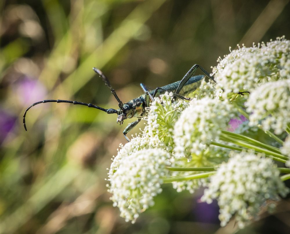 Доброе утро :-)