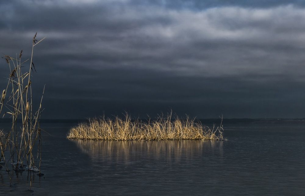 Трава и лед