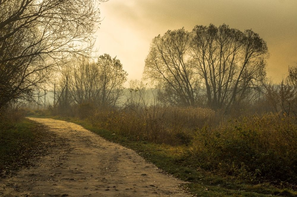 Осеннее утро