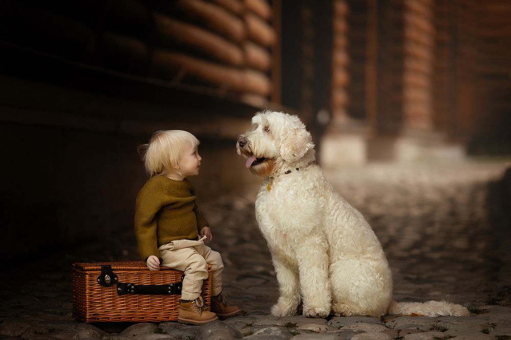 Давай дружить?