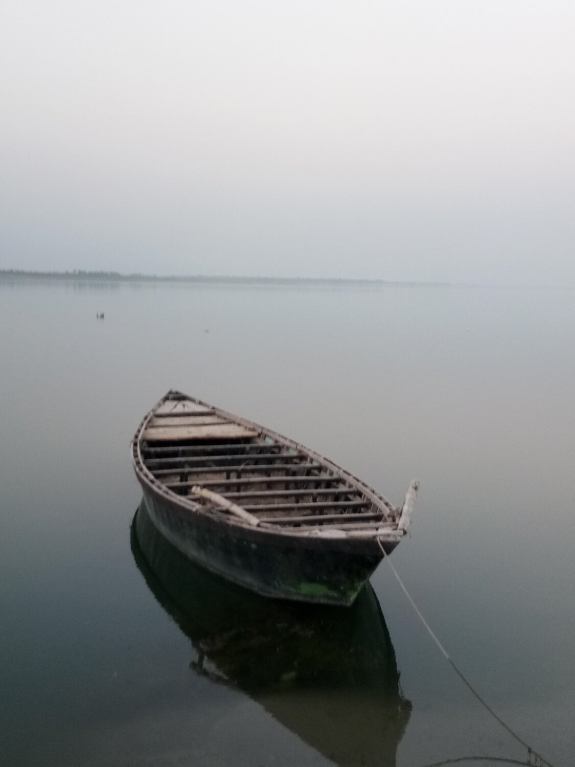 Peace in Haven