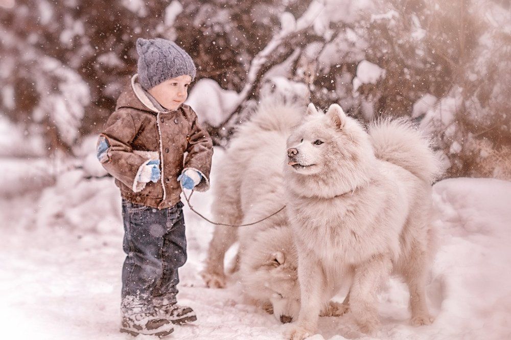 Прогулка по заснеженному лесу