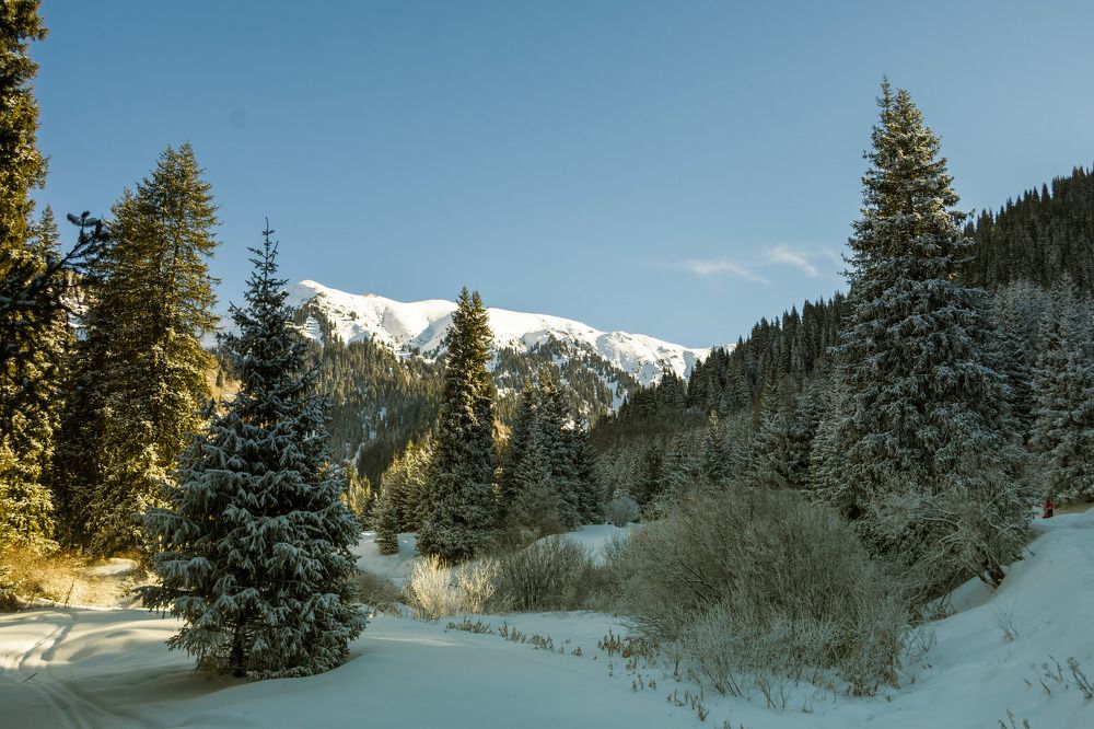 Photograph by Галина Канеева