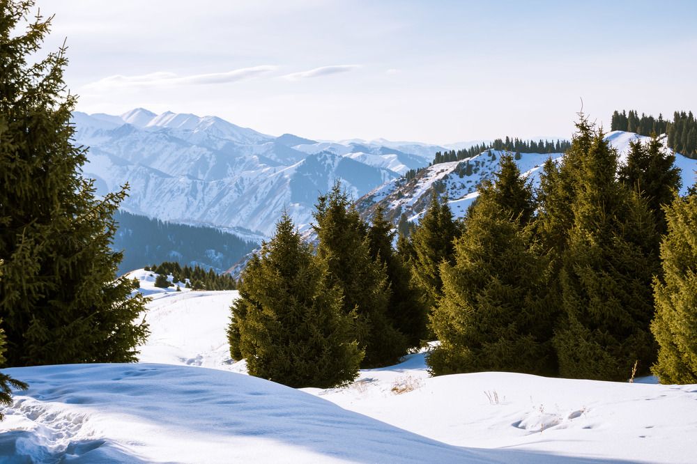 Photograph by Галина Канеева